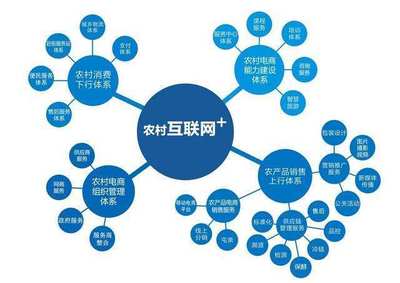 互聯(lián)網(wǎng)+農(nóng)業(yè) 農(nóng)業(yè)電商平臺的發(fā)展困境與未來突圍